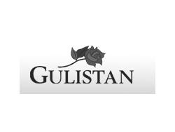 Gulistan To File for Chapter 11 Bankruptcy