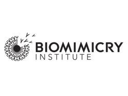 Biomimicry Institute Sponsoring Global Design Challenge