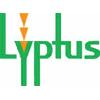 Patrick Fitzgerald Discusses Properties of Lyptus Flooring from Weyerhaeuser