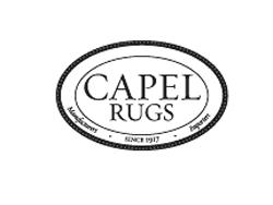 Capel Opens Gallery in Springfield, Illinois 