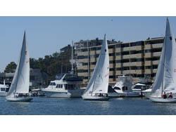 Universal Flooring Hosts Team Building Regatta