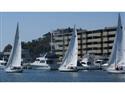 Universal Flooring Hosts Team Building Regatta