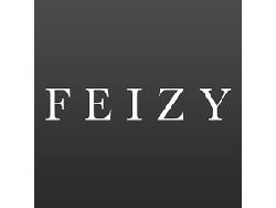 Mike Riley Named President of Feizy Rugs