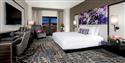 Hospitality Update 2018: Hospitality sector activity is on its way to breaking records - Nov 2018