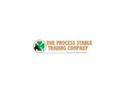 Due Process Names VP of Customer Service