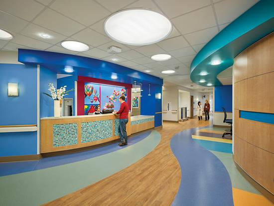 Acute Care Design: Case Studies - Oct 2016