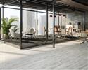 Commercial Market 2020: Last year, the commercial market was flat, with gains in hard surface offset by carpet declines - June 2020