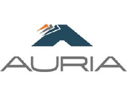 Automotive Flooring Supplier Auria Expanding Operations in SC