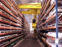Producer Prices Up 0.1% in October