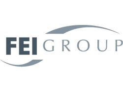 FEI Group Adds Three Team Members