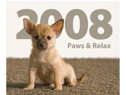 Carpet One Launches 2008 Pet Calendar