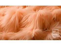 Pantone Names Peach Fuzz the 2024 Color of the Year