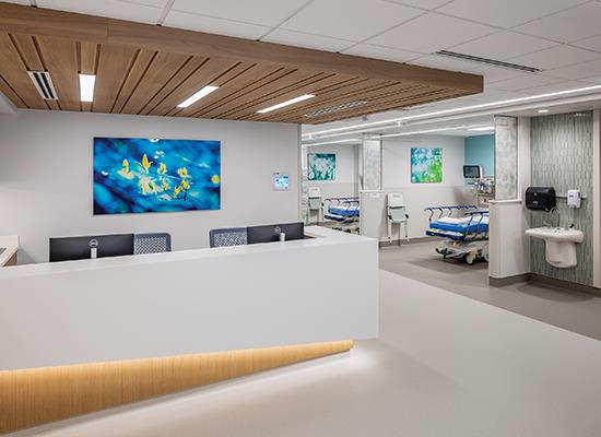Acute Care Report: Healthcare evolves to meet the times – October 2024