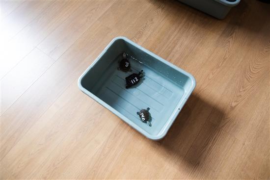 Sustainability: Producer Update: Highlight of new programs, products and initiatives from flooring producers and suppliers – Aug/Sept 2025