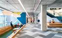 Studio O+A's design of Cisco-Meraki's San Francisco office