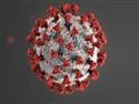 Tell Us About Your Proactive Efforts Due to Coronavirus 