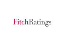 Fitch Rates Proposed Mohawk Offering at BBB