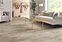 Laminate Report 2019: The laminate category continues to innovate - Aug/Sep 19