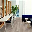 Mainstreet Commercial Report: Flooring retailers reflect on the current state of the mainstreet category - Jan 2020