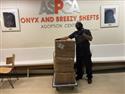 Mohawk Donates Personal Protective Equipment to ASPCA