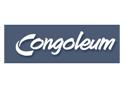 Court Calls on Congoleum to Modify Plan 