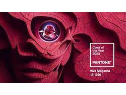 Pantone Names Viva Magenta Color of the Year for 2023