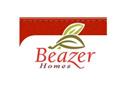 Beazer Homes Returns To Profit for Year