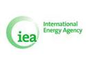 Energy Agency Selling Oil Emergency Reserves