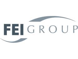 FEI Forms Advisory Board 