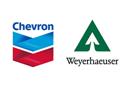 Chevron and Weyerhaeuser Create Biofuels Alliance 