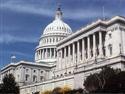 Bill Introduced to Curb Illegal Timber 