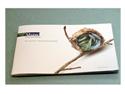 Shaw Environmental Marketing Material Wins ADDY 