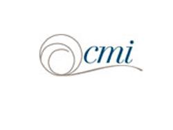 CMI Intros Indoor/Outdoor Braided Rugs