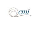 CMI Intros Indoor/Outdoor Braided Rugs
