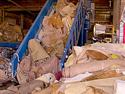 Carpet Recycling Firm Launched in San Francisco