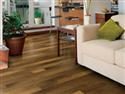 Shaw Showcased In Traditional Home Show