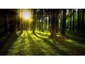White Oak Resilience Act Progresses in the House