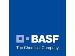 BASF to Open TDI Plant