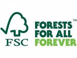 Forest Stewardship Council Suspends Trading with Russia & Belarus