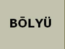 Bolyu Carpet Tile Backing Gets NSF Platinum