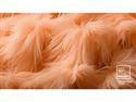 Pantone Names Peach Fuzz the 2024 Color of the Year