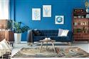 Area Rug Update: Can e-commerce and brick-and-mortar stores strike a balance? - Dec 2017