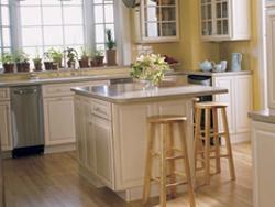 Armstrong Laminate Featured on Martha Stewart Show
