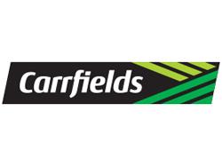 Carrfields Primary Wool Names NA Market Managing Director