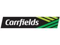 Carrfields Primary Wool Names NA Market Managing Director