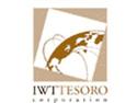 Private Equity Firm Buys Tile Company IWT