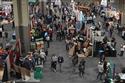 NWFA Expo 2025: The annual expo showcases new species and other product trends – May 2025