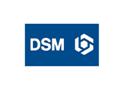 DSM to Expand Caprolactam Capacity in Netherlands