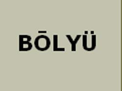 Bolyu, LSI Floors Form Joint Distribution Pact
