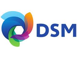 DSM Releases Bio-Based Matte Resin Finish for Hardwood